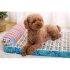 Breathable Heat Dissipation Massage Bed Mattress Sleeping Nest for Pet Dogs blue XL