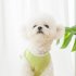Breathable Slim Pet  Vest With Avocado Shape Cross Body Bag For Cat Dog Pet Supplies Green Avocado Satchel L  recommended weight 5 5 7 5 kg 