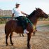Bright Led Light  Strips  Horse  Chest  Strap Battery Powered Reusable Size Adjutable Flashing Light Horse Collar For Night Horse Riding Horse Show Blue