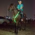 Bright Led Light  Strips  Horse  Chest  Strap Battery Powered Reusable Size Adjutable Flashing Light Horse Collar For Night Horse Riding Horse Show Green