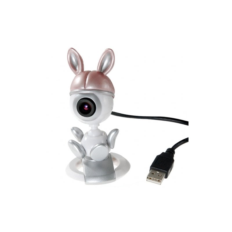 Computer Video Camera