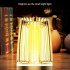 Bug Zapper Outdoor Indoor Portable Electric Mosquito Killer USB Rechargeable Electronic Mosquito Zapper Night Light For Patio Camping Home Backyard Garden 4000 