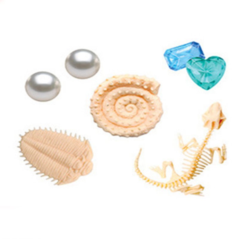 Fossils Dig Kit With Tools 5 In 1 Science Magic Treasure Digging Set Educational Toys For Geology Enthusiasts 
