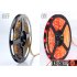 CVGC LT70  Seeing this flexible LED strip light which is suitable for decorating your home  party place  Christmas tree and many other showcase 