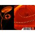 CVGC LT70  Seeing this flexible LED strip light which is suitable for decorating your home  party place  Christmas tree and many other showcase 