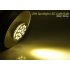 CVGC LT77  Bright 15 Watt Warm White Spotlight LED Light Bulb which fits in all incandescent screw in bases  Save energy  save money  and save the   