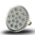 CVGC LT77  Bright 15 Watt Warm White Spotlight LED Light Bulb which fits in all incandescent screw in bases  Save energy  save money  and save the   