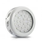 CVHZ G34 2GEN  LED Plant Grow Light  Red and Blue High Growth Edition   welcome to the revolutionary LED Grow Light  an incredible way to grow plants indoors 