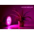CVHZ G34 2GEN  LED Plant Grow Light  Red and Blue High Growth Edition   welcome to the revolutionary LED Grow Light  an incredible way to grow plants indoors 
