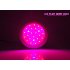 CVHZ G34 2GEN  LED Plant Grow Light  Red and Blue High Growth Edition   welcome to the revolutionary LED Grow Light  an incredible way to grow plants indoors 