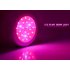 CVHZ G34 2GEN  LED Plant Grow Light  Red and Blue High Growth Edition   welcome to the revolutionary LED Grow Light  an incredible way to grow plants indoors 