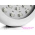 CVHZ G34 2GEN  LED Plant Grow Light  Red and Blue High Growth Edition   welcome to the revolutionary LED Grow Light  an incredible way to grow plants indoors 