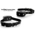 CVJC G340 Behavior Training Collar and remote that uses a vibration or mild shock to help you positively and harmlessly train your dog  Best Electric Dog Collar