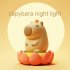 Capybara LED Night Light Cute Capybara Night Lamp 800mAh Battery Nursery Night Light Bedside Table Lamp For Boys Girls Kids 3 86x6 5x4 33 In warm light