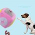 Cartoon Cubic Shaped Chew Plush Toy for Pet Dog Smelling Training
