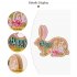Cartoon Easter Wooden Bunny Ornaments Diy Craft Kids Toy Gift Happy Easter Home Table Decorations blue