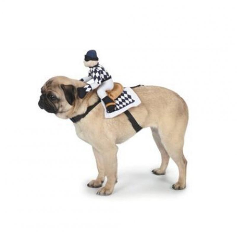 Cartoon Horse Riding Clothes Pet Cotton Cospaly Costume for Dogs Halloween Party black_S