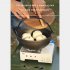Cast Iron Dutch Oven with Wooden Cover Flat Bottom Design Single Non coated Non stick Pan Cast Iron Dutch Oven 29CM