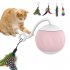 Cat 2 speed Interactive Toys Ball with Led Light 3pcs Feathers Type c Charging Built in 500mah Battery Watermelon