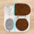 Cat Bowl Automatic Feeder With Water Dispenser Stainless Steel Cat Bowl Ceramic Pet Food Water Bowl For Dog Integrated feeder Gray B