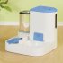 Cat Bowl Automatic Feeder With Water Dispenser Stainless Steel Cat Bowl Ceramic Pet Food Water Bowl For Dog Integrated feeder Gray B