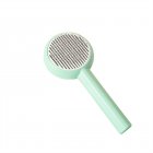Cat Brush For Shedding Dog Brush With Release Button Self Cleaning Hair Brush Hair Remover Tool Grooming Kit Pet Supplies green