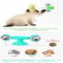 Cat  Carousel Pinwheel Pet Toy With Suctions Pet Funny Relieving Supplies Green