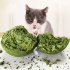 Cat Chew Toy Ball Toy Internal Solid Bite And Lick Resistant Grinding Teeth And Cleaning Teeth Interactive Cat Teething Ball For Indoor Outdoor Gall Fruit Ball 