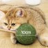 Cat Chew Toy Ball Toy Internal Solid Bite And Lick Resistant Grinding Teeth And Cleaning Teeth Interactive Cat Teething Ball For Indoor Outdoor Gall Fruit Ball 