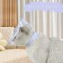 Cat Cone Collar Soft  Soft Cat Collar With Adjustable Drawstring  Lightweight  Soft  Comfortable Small Dog Cone Collar For Cats Stop Licking And Scratching Lave