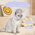 Cat Cone Collar Soft  Soft Cat Collar With Adjustable Drawstring  Lightweight  Soft  Comfortable Small Dog Cone Collar For Cats Stop Licking And Scratching Lave