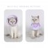 Cat DRecovery Collar Cone Adjustable Cat Cone Collar Soft Lightweight Adjustable Pet Cone Collar Prevent Licking Bite Cone For Cat After Surgery Kitten Cone pea