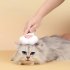 Cat Dog Pet Brush With Release One Push Button Paw Shaped Self Cleaning Slicker Brush For Long Short Haired Cats Dogs Pink Paw comb one key removal 