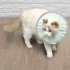 Cat Recovery Collar Protective Cat Neck Cones Adjustable Pet Cone Collar Lightweight Kitten Cones After Surgery Elizabethan Collar For Cats Dog green M