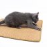 Cat Sisal Cat Scratch Board Food Sleeping Mat Cushion Carpet Pet Toy Claw Care 40 60  random colour 