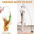 Cat Teaser Stick Set With Suction Cup Bells Feathers Tassels Cat Wand Toy Pet Supplies For Relieves Boredom 1 bird   4 feathers