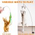 Cat Teaser Stick Set With Suction Cup Bells Feathers Tassels Cat Wand Toy Pet Supplies For Relieves Boredom 2 birds   3 feathers