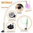 Cat Teaser Stick Set With Suction Cup Bells Feathers Tassels Cat Wand Toy Pet Supplies For Relieves Boredom 2 birds   3 feathers