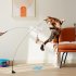 Cat Teaser Stick Set With Suction Cup Bells Feathers Tassels Cat Wand Toy Pet Supplies For Relieves Boredom 2 birds   3 feathers
