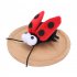 Cat Toys Simulation Hedgehog Bird Ladybird Frog Squeaky Interactive Plush Toys Pet Supplies For Small Dogs Puppy Kitten Hedgehog