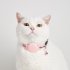 Cat Tracker Collar  Cat Gps Tracker Collar With Adjustable Tape  Bell  Love Decoration  Adjustable Tracker Collar For Kitty  Puppy  Indoor  Outdoor  Hiking Or R