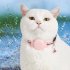 Cat Tracker Collar  Cat Gps Tracker Collar With Adjustable Tape  Bell  Love Decoration  Adjustable Tracker Collar For Kitty  Puppy  Indoor  Outdoor  Hiking Or R