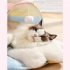 Cat Tunnel Bed Cat Tubes And Tunnels With Teddy Velvet Cushion Removable Cathole Tube Kitten Puppy Tunnel Bed Pet Snuggery Hideout For Rabbit Small Dog Rainbow 