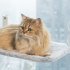 Cat Window Perch Space Saving Cat Window Hammock With 4pcs Strong Suction Cup For Large Cats Sunbathing Napping Standard  45 x 30cm  Beige