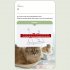 Cat Window Perch Space Saving Cat Window Hammock With 4pcs Strong Suction Cup For Large Cats Sunbathing Napping Standard  45 x 30cm  Beige