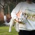 Cats Carrying Bag Pet Carrying Bag Pet Shoulder Bag With Leg Hole Sturdy Lightweight Wearable Solid Color Pet Shopping Bag For Cat  VC Orange  L
