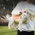 Cats Carrying Bag Pet Carrying Bag Pet Shoulder Bag With Leg Hole Sturdy Lightweight Wearable Solid Color Pet Shopping Bag For Cat  VC Orange  L