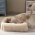 Cats Scratching Board Rectangle Cat Scratcher Pad Grinding Claws Cardboard Corrugated Paper Kitten Scrapers With Fluffy Baffles On 4 Sides Pet Furniture Supplie