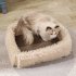 Cats Scratching Board Rectangle Cat Scratcher Pad Grinding Claws Cardboard Corrugated Paper Kitten Scrapers With Fluffy Baffles On 4 Sides Pet Furniture Supplie