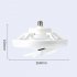 Ceiling Fan With Light  Small Ceiling Fans With Dimmable RGB Lights  5 ABS Blades  3 speed Wind  E27 Flush Mount Fan Light For Bedroom Living Room Kids Room RGB